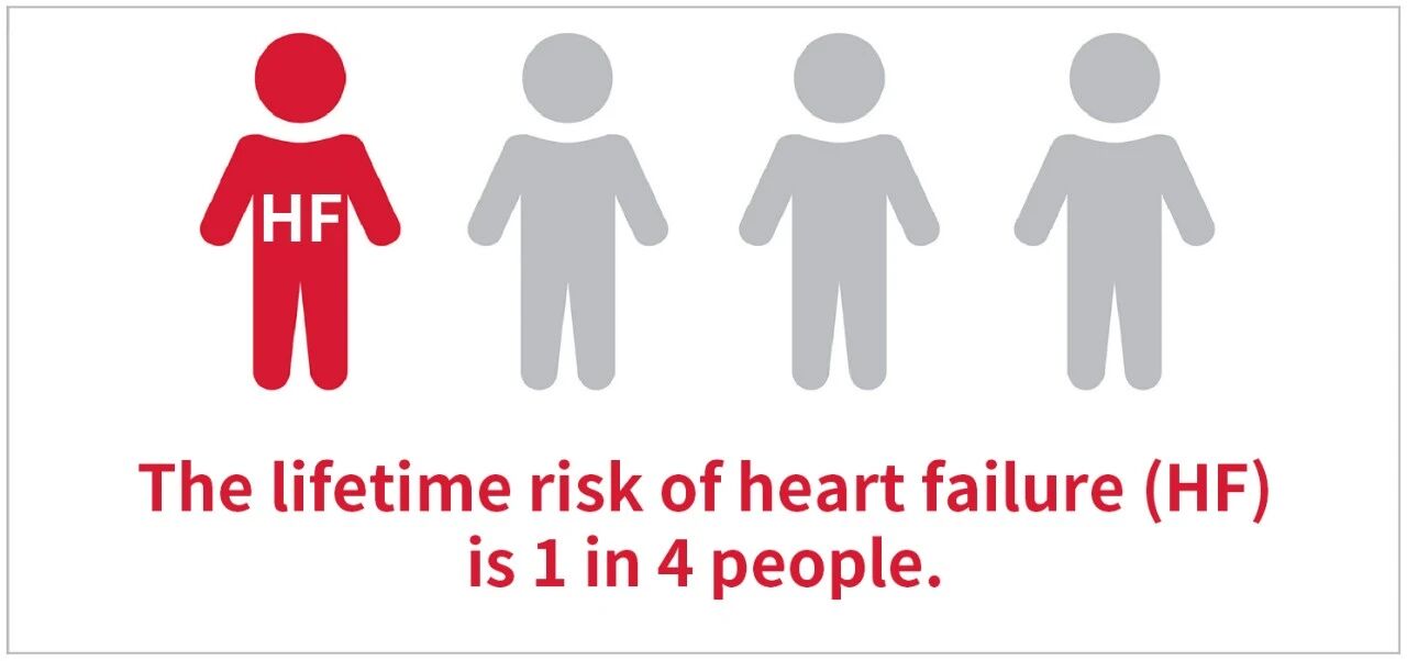 新品上市 | 心衰診斷雙保障——聚焦心衰精準(zhǔn)診斷，我們從未止步！